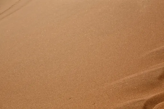 Casino Bingo Millionaire Suporte